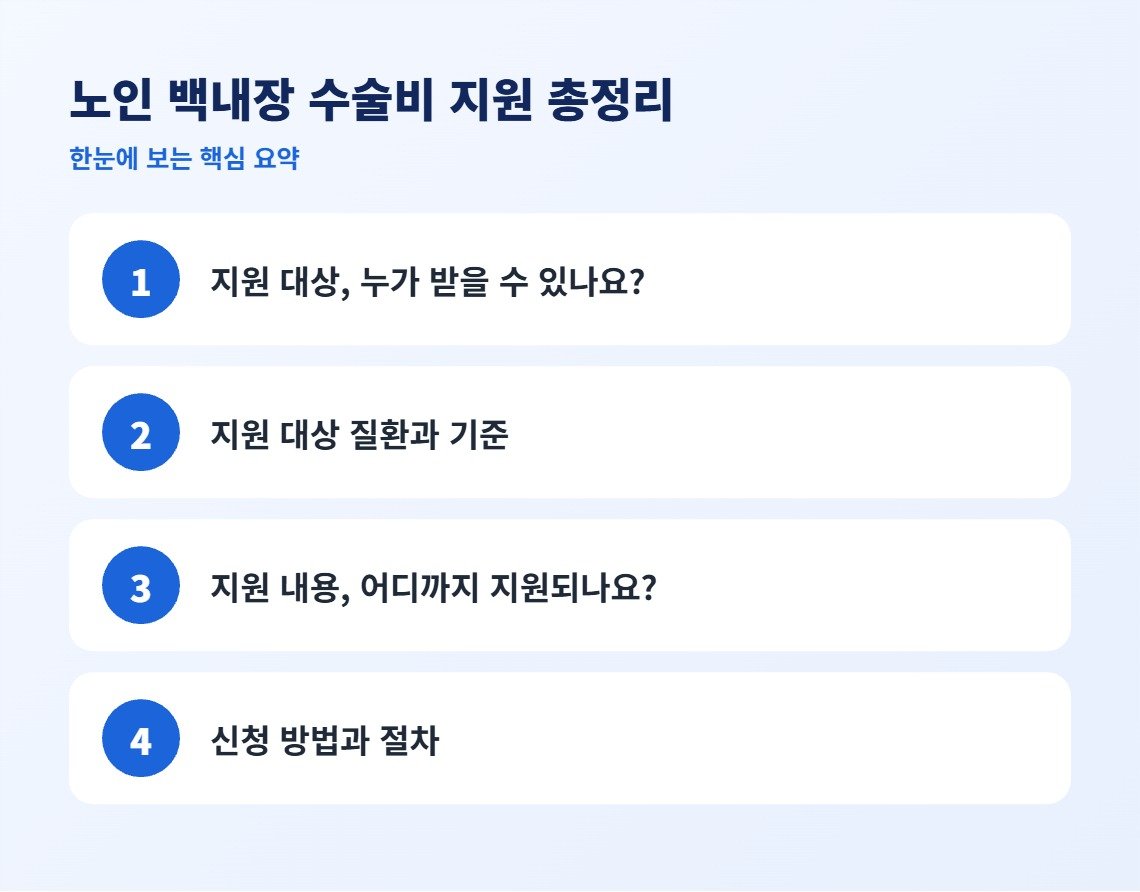 노인 백내장 수술비 지원 총정리 핵심 요약