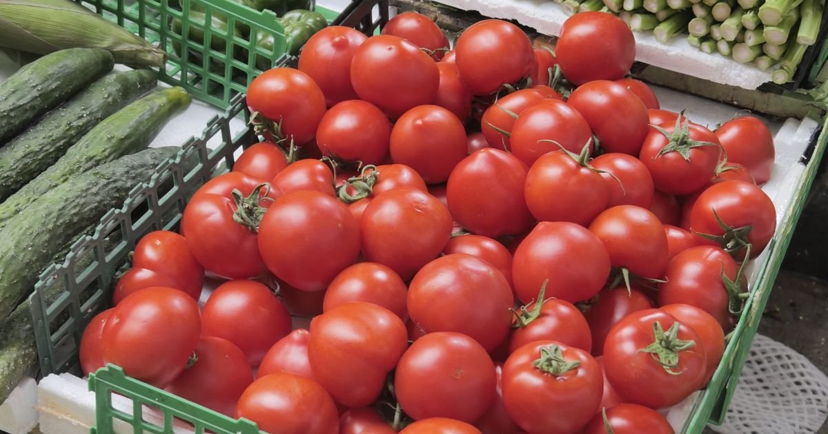 상자에 담긴 토마토, 제철코어 토마토코어 유행 관련 이미지